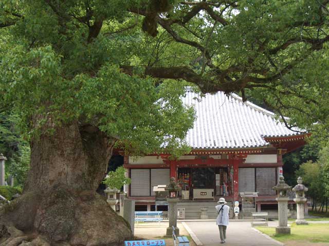 七宝山観音寺の画像