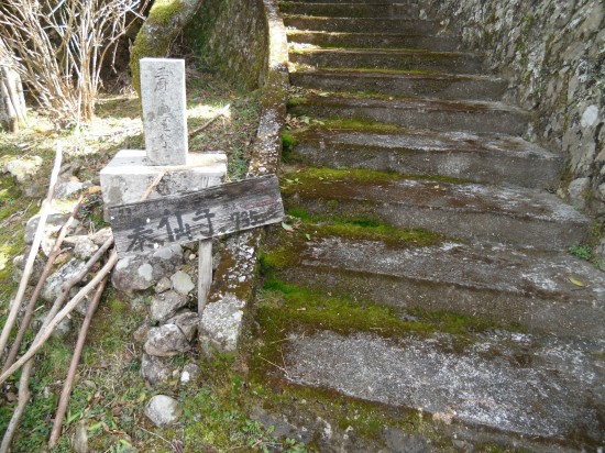 登り口のこの階段はすぐそばの墓地のためだけで、あとはすごい山道です。