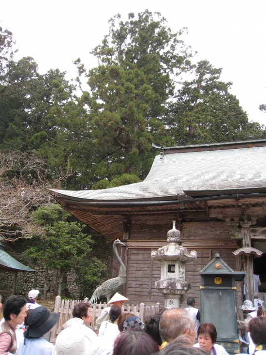 鶴林寺　本堂「鶴・鶴・左右に鶴がおります」本堂の左後方に鶴が舞い降りた竹があるとか。