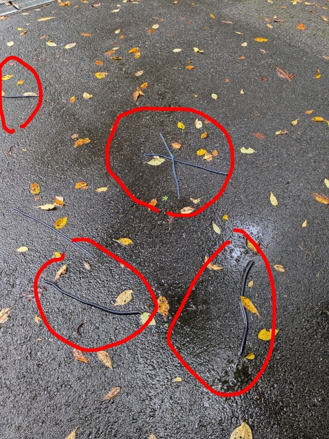 横峰寺駐車場から横峰寺までの道中で数多くの赤丸で囲まれた物体にであいました。