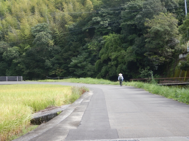 前を歩くのは２６番から唐の浜東バス停まで一緒だった女性遍路さん