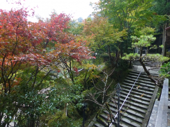 岩屋寺の秋です