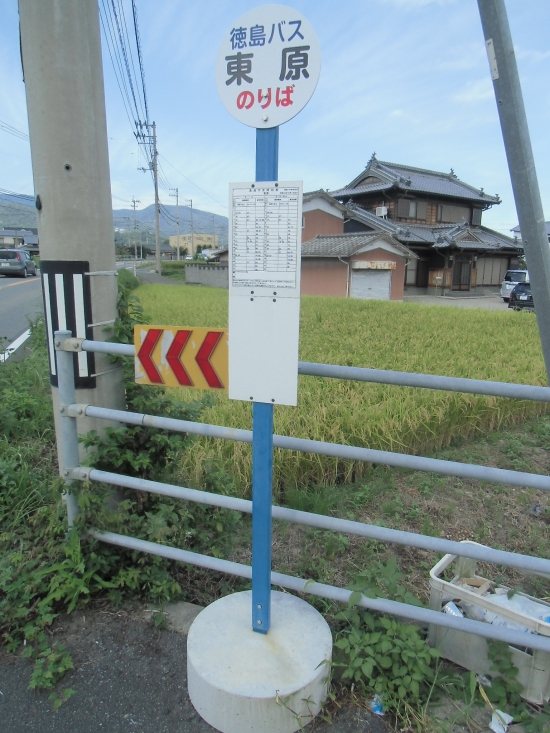 ここから徳島バスに乗り、ＪＲを乗り継いで霊山寺に戻りました。