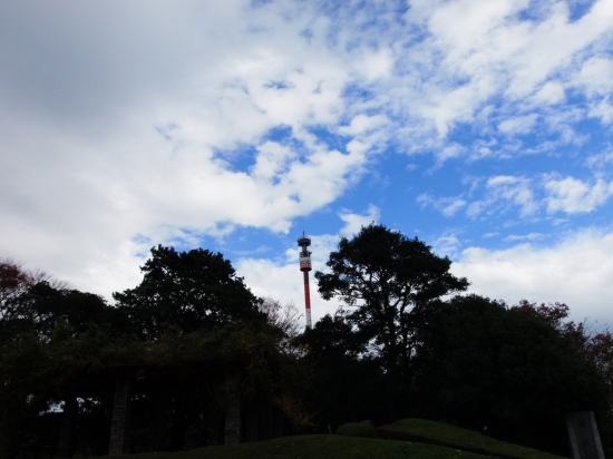 宇和海タワー、回転しながらかなり上まで上がります。この時間のお客は１人です。