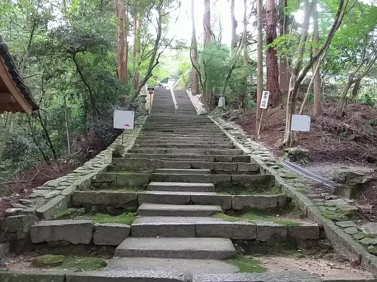 興隆寺への参道。