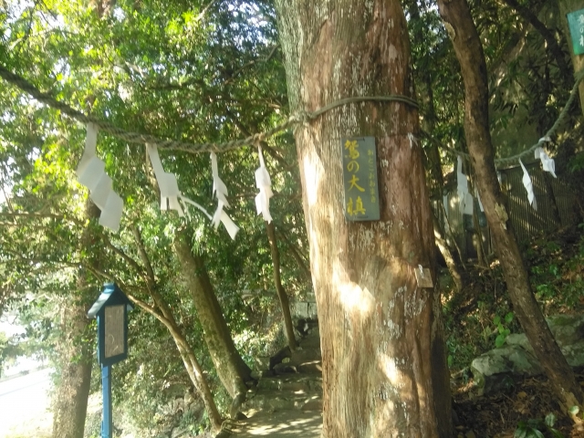 種間寺奥の院への参道。