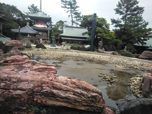 この日金剛福寺は池の水を抜いて掃除をしていました。