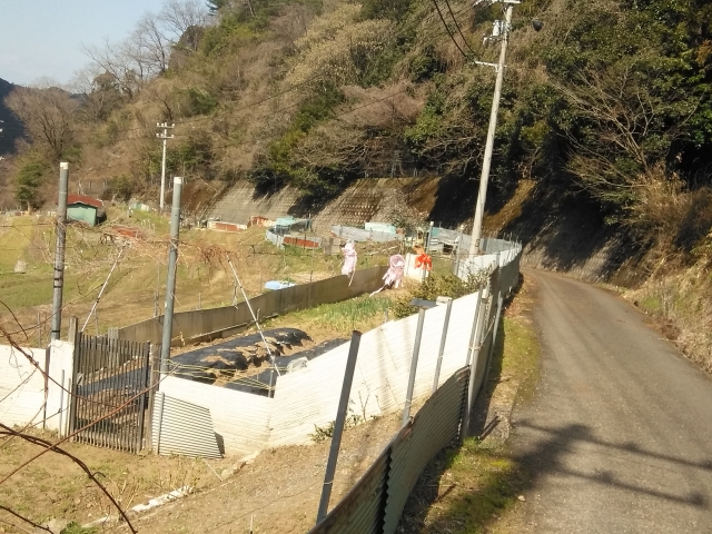 鳥除け？、イノシシ除け？