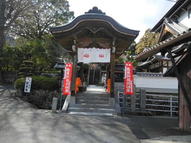 猫の姿がない八坂寺。